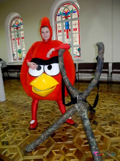 Аніматори Angry Birds